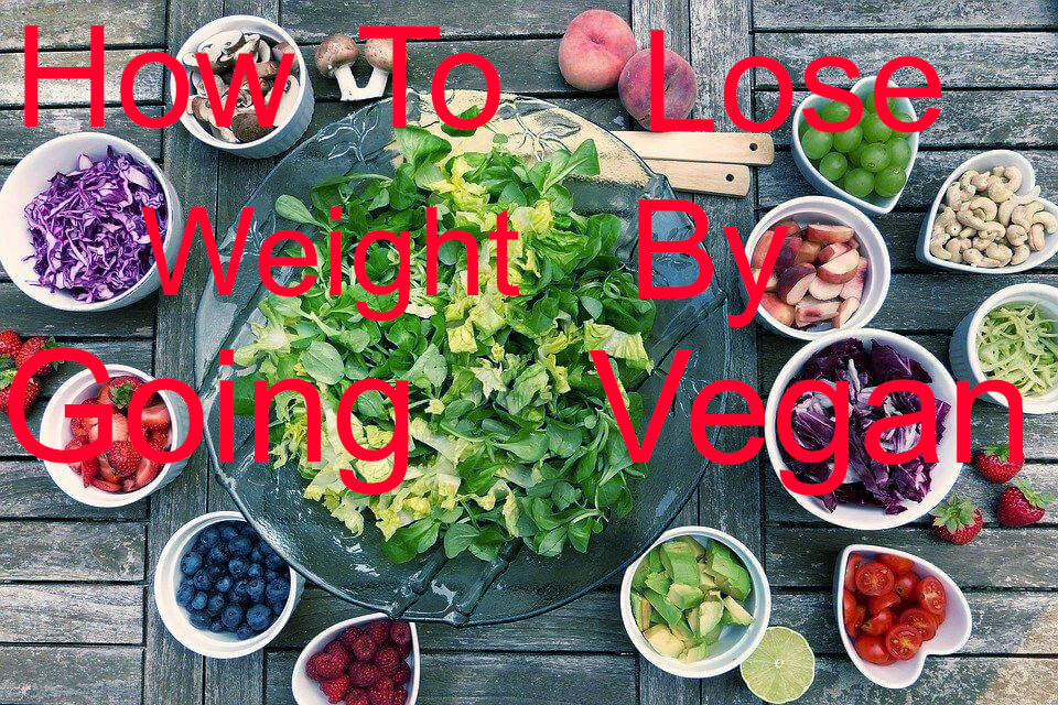 How To Lose Weight By Starting A Healthy Vegan Diet Dancematronix